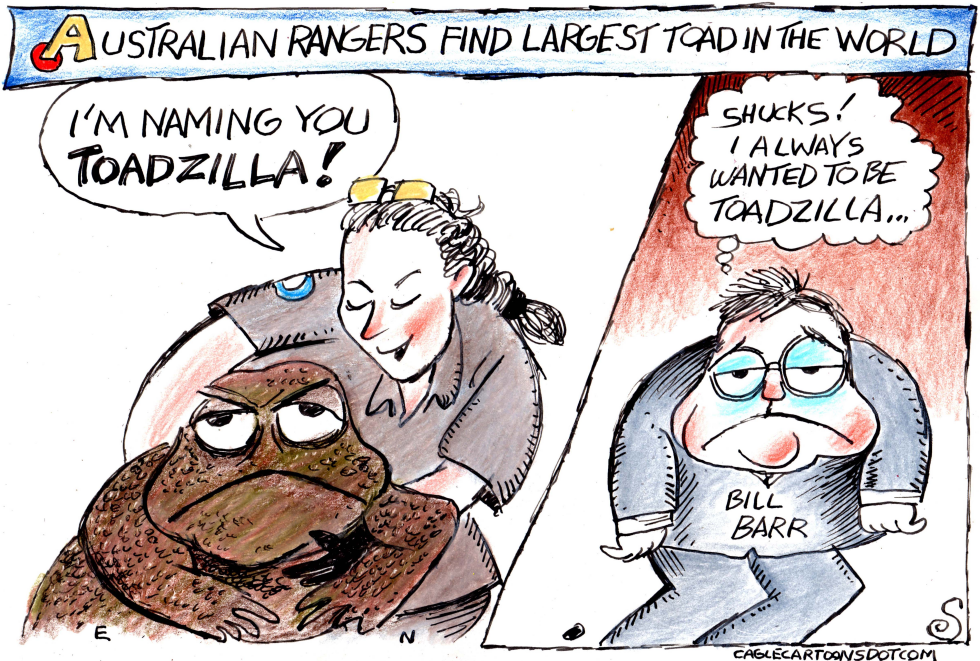 GIANT TOAD