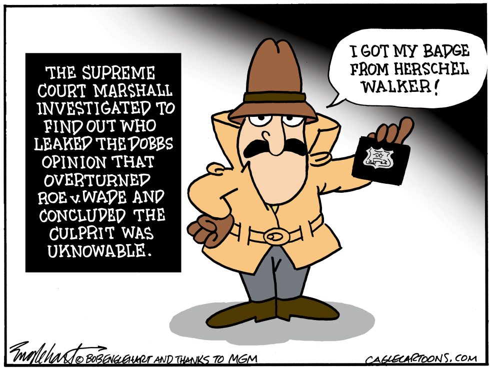 Supreme Court Investigates Itself