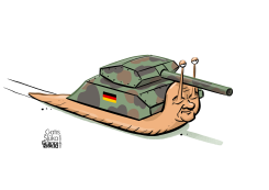GERMAN SNAIL by Gatis Sluka