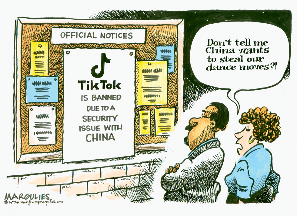 TikTok Banned