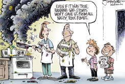 GAS STOVES by Joe Heller