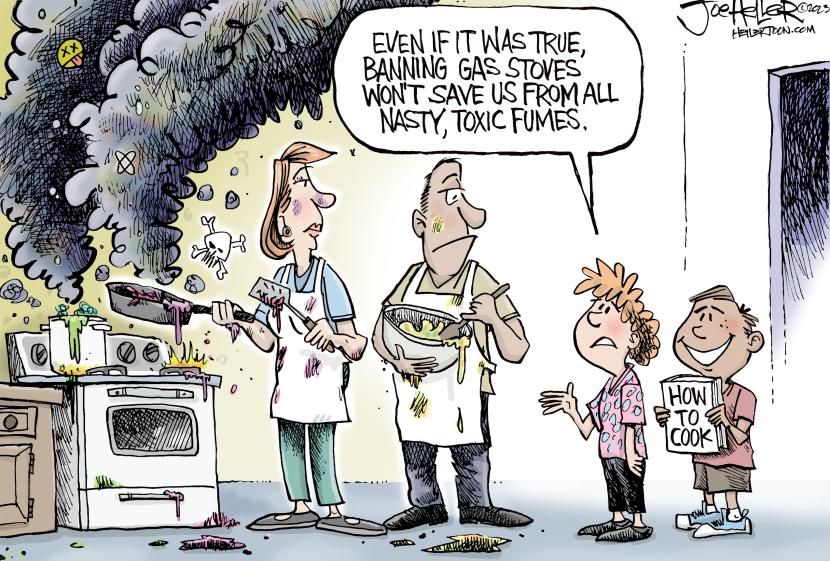 Gas Stoves