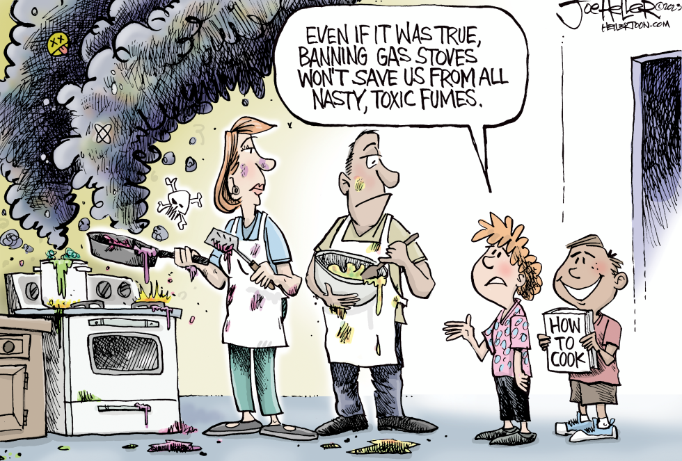 Gas Stoves