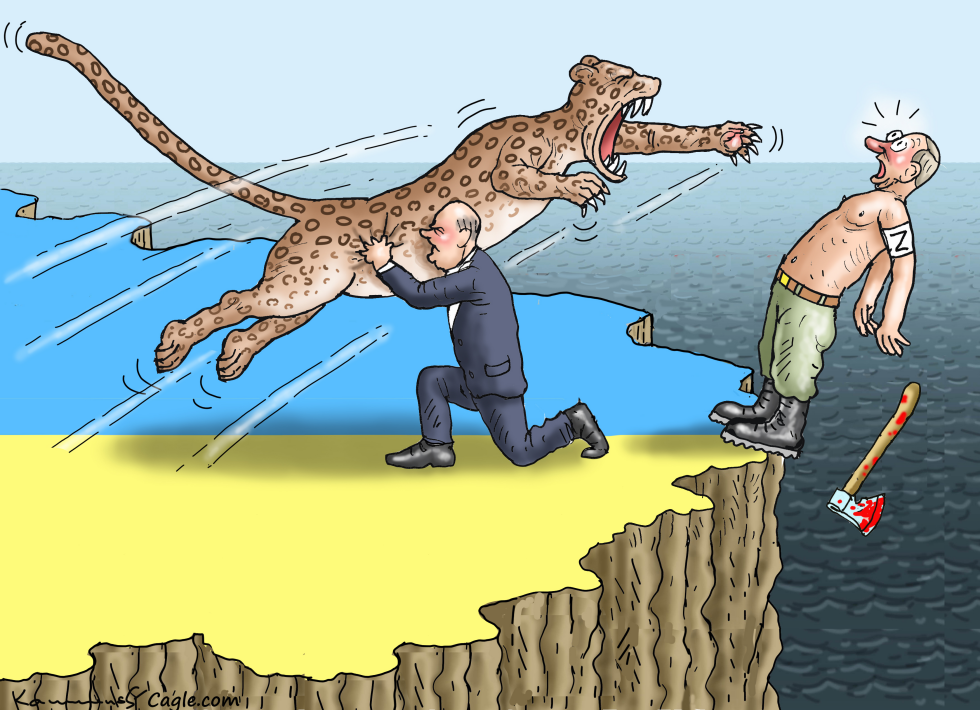 Sending in the Leopard