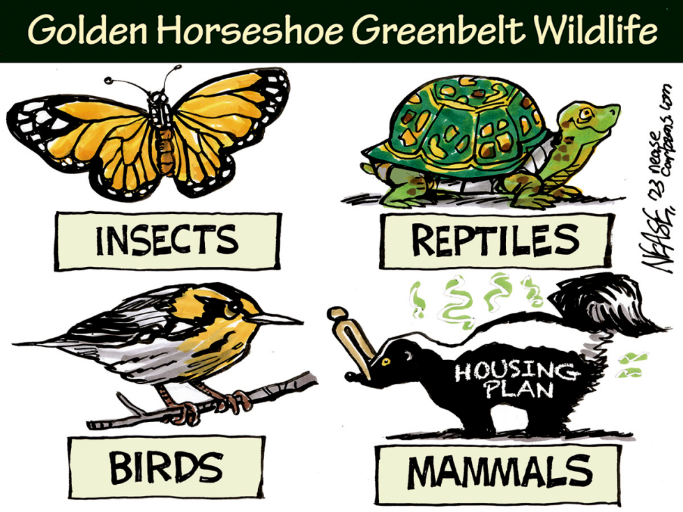Wildlife