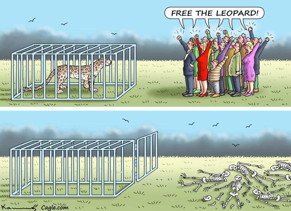 Free The Leopard