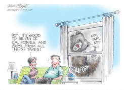 CALIFORNIA TAXES by Dick Wright