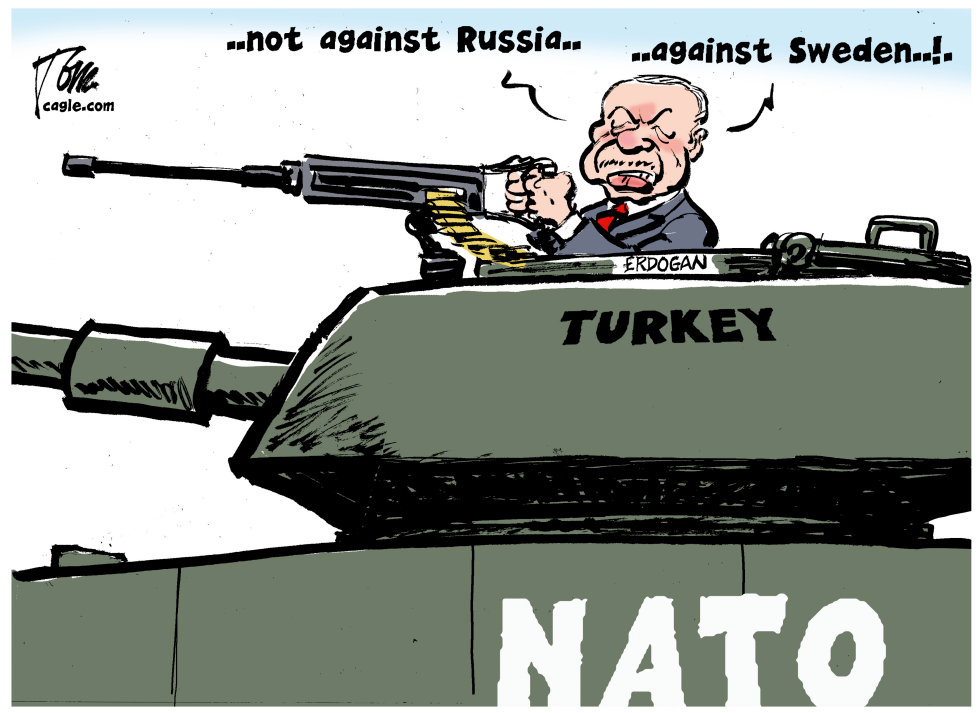 Erdogan and Sweden