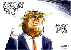 BUILD THE DOME by Dave Whamond
