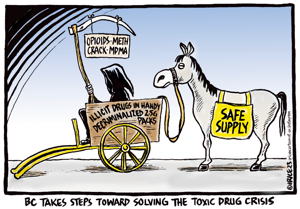 Solving the Toxic Drug Crisis