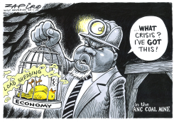LOAD SHEDDING by Zapiro