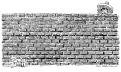 BORDER WALL by Daryl Cagle