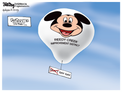 DESANTIS TARGET by Bill Day