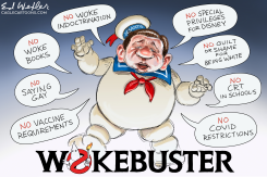 DESANTIS WOKE BUSTER by Ed Wexler