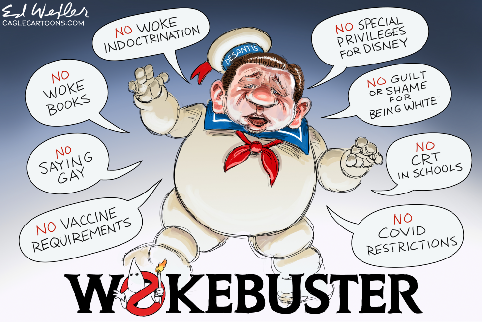 Desantis Woke Buster