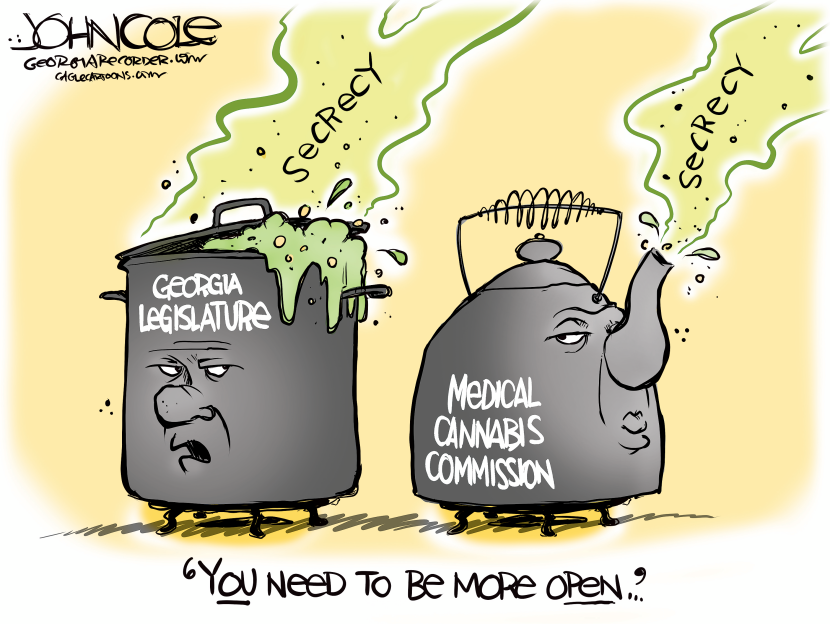GEORGIA Secrecy in state government