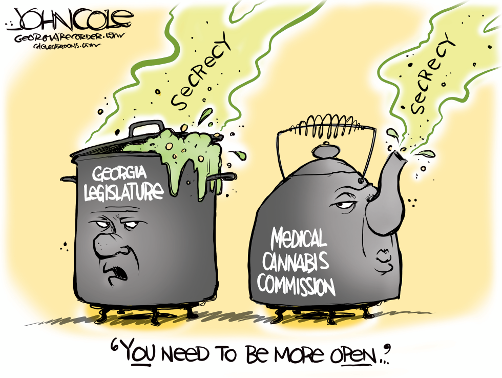 GEORGIA Secrecy in state government