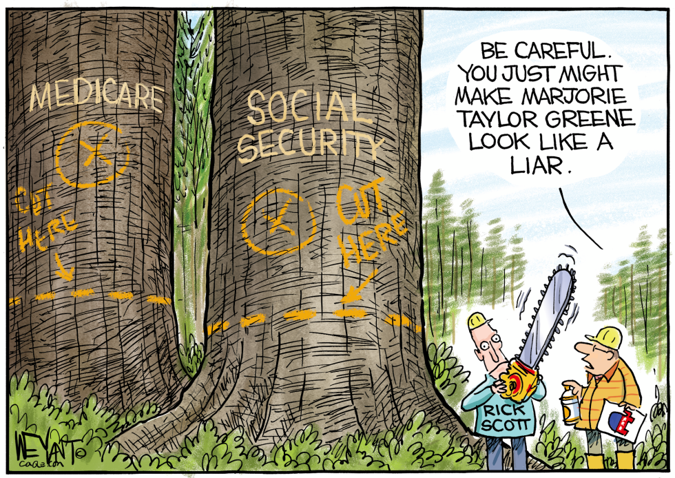 Liar Liar