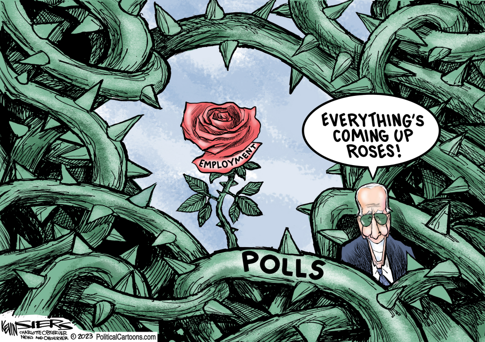 The State of the Rose Garden