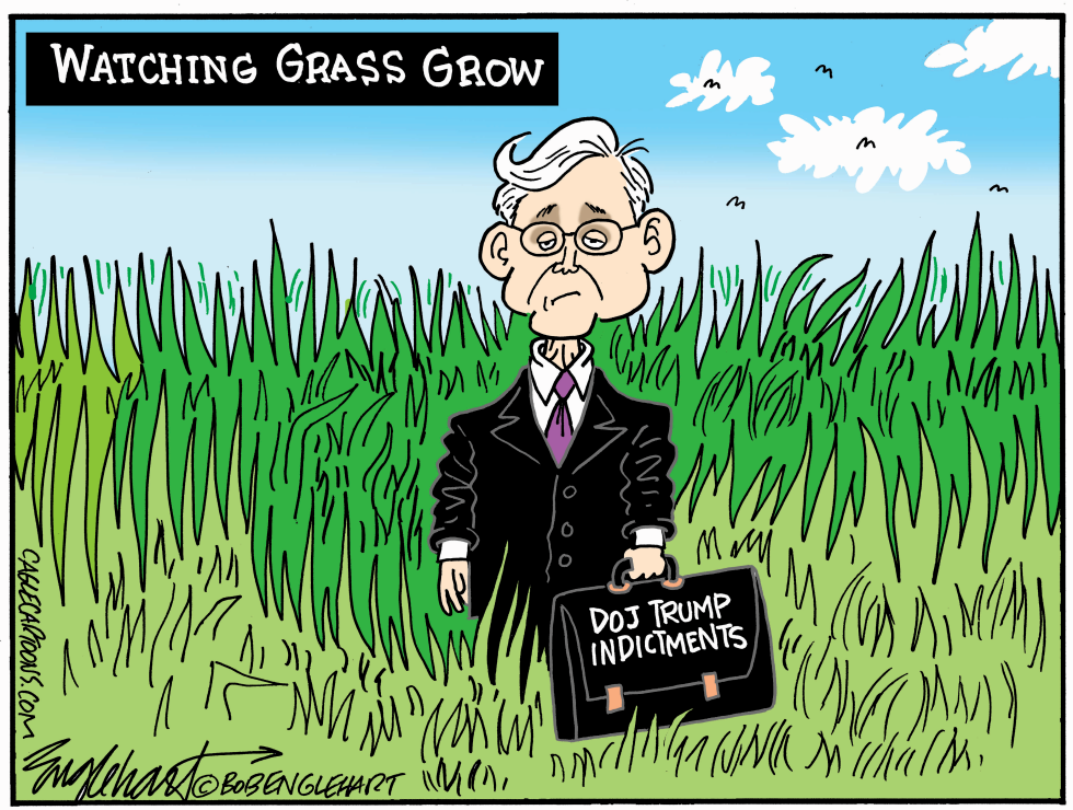Merrick Garland stands in tall grass holding briefcase labeled DOJ Trump indictments