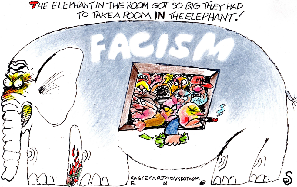 ELEPHANT IN THE ROOM