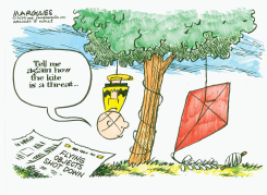 FLYING OBJECTS SHOT DOWN by Jimmy Margulies