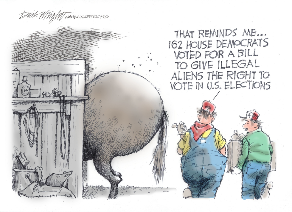 Democrats Vote to Give Vote to Illegals