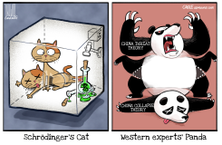 WESTERN EXPERTS' PANDA by Luojie