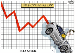 TESLA STOCK CRASH by Dave Whamond
