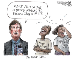 FOX NEWS RACE-BAITING by Adam Zyglis