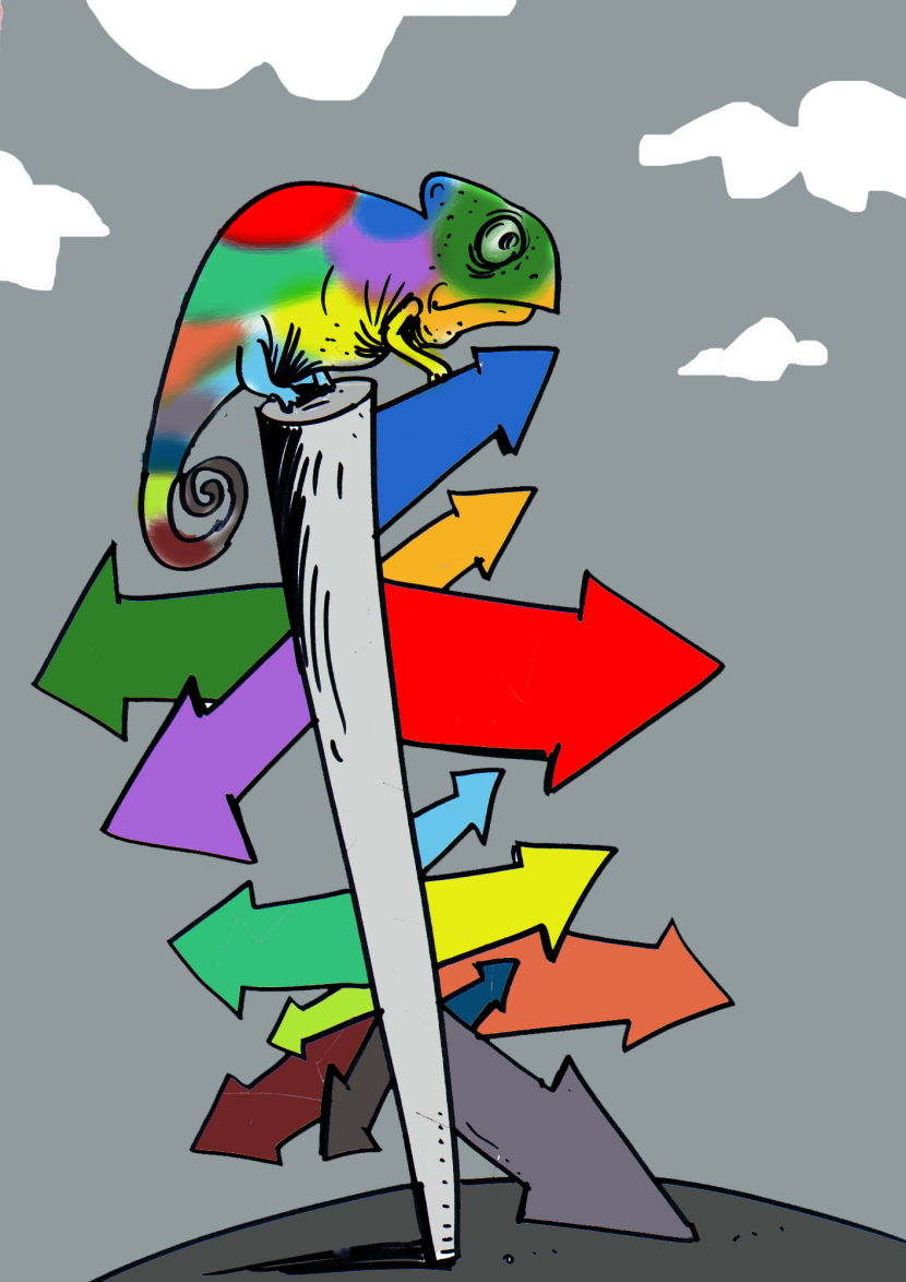 Which Way