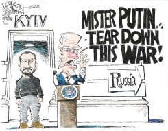 TEAR DOWN THIS WAR by John Darkow