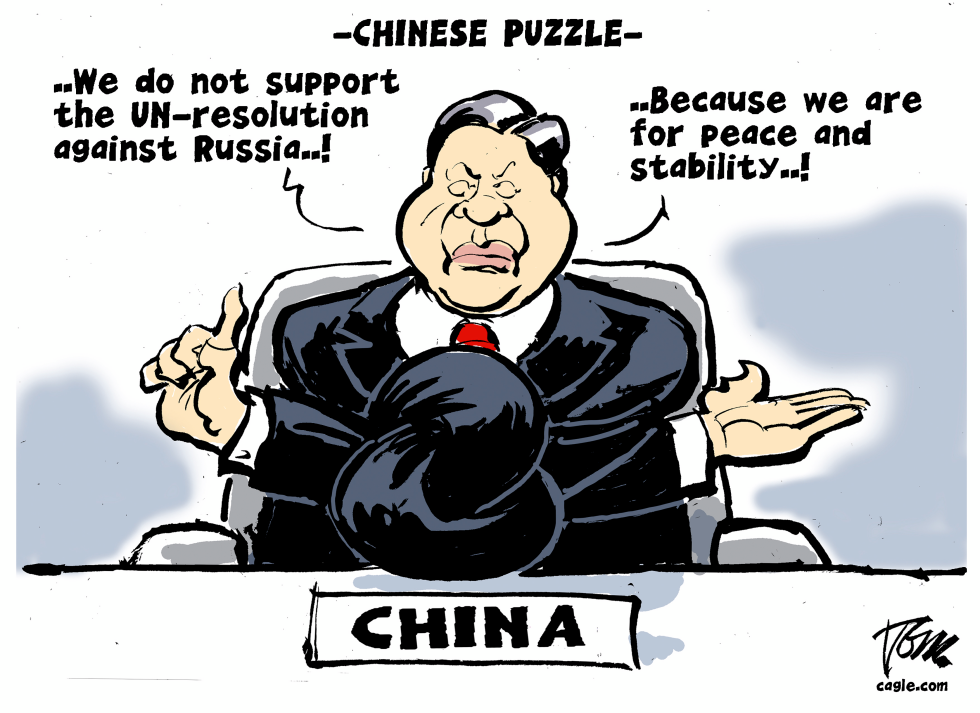 Chinese puzzle