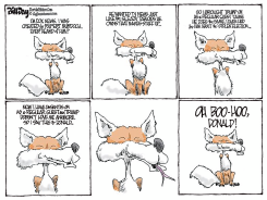 FOX NEWS AND TRUMP by Bill Day