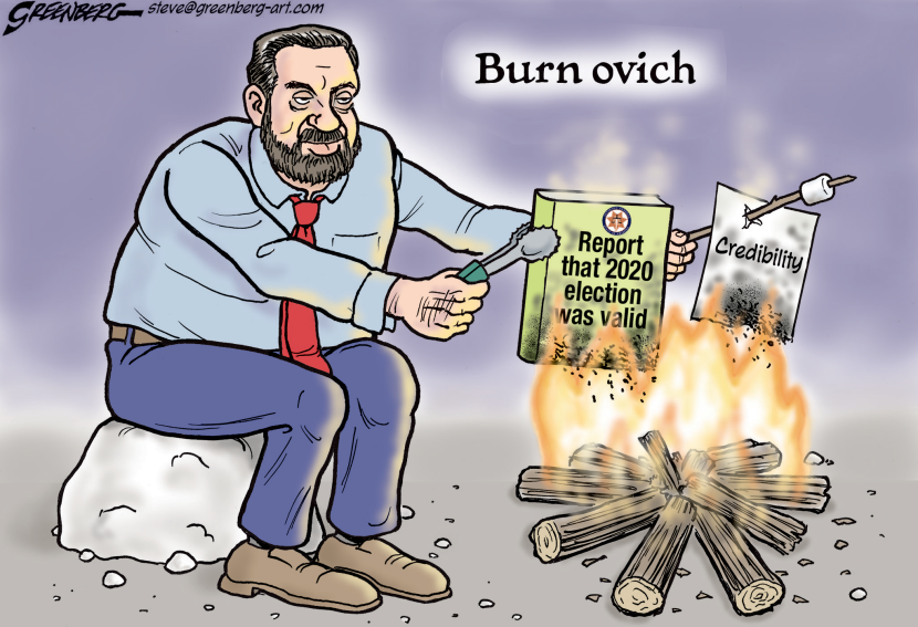 Brnovich Burn