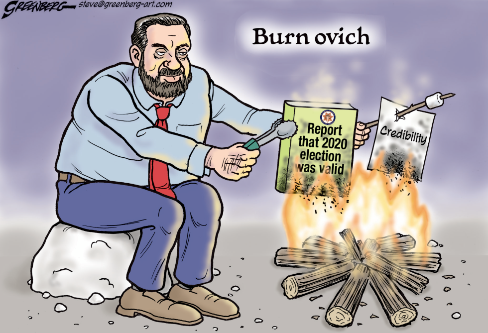 Brnovich Burn