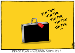 CHINA AND THE UKRAINE WAR by Schot