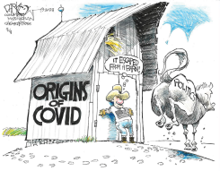 ORIGINS OF COVID by John Darkow