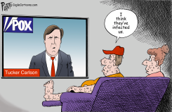 THE POX NETWORK by Bruce Plante