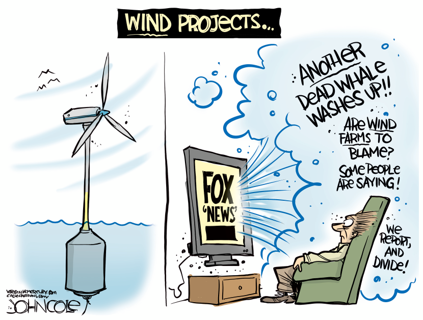 Of wind and whales