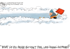 SNOW JOB by Pat Bagley