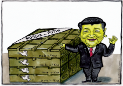CHINA'S UKRAINE PEACE PLANE by Alla and Chavdar