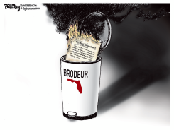 FLORIDA BURNS THE FIRST AMENDMENT by Bill Day