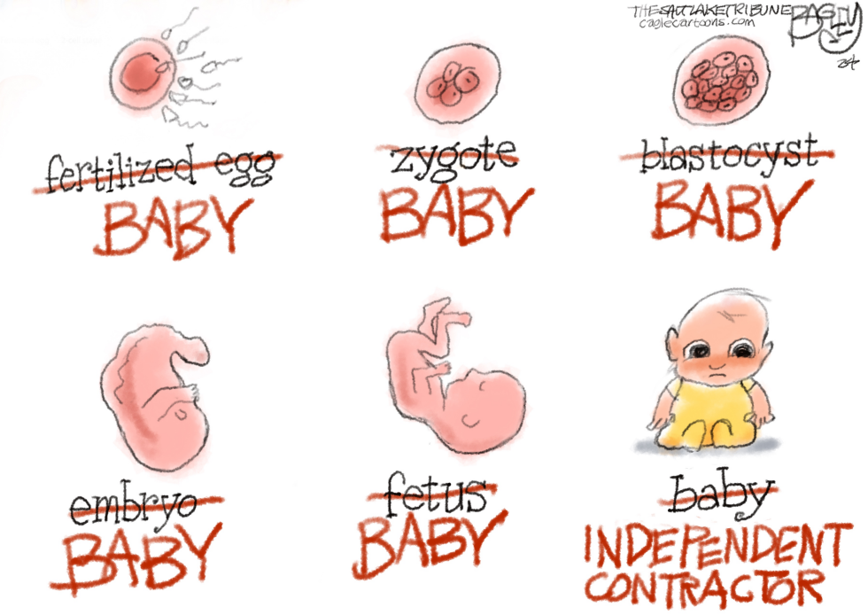 Stages of Life