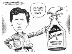 JAN 6TH SANITIZED by Dave Granlund