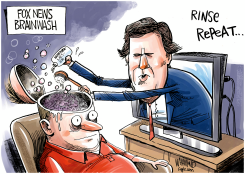 FOX NEWS BRAINWASH by Dave Whamond