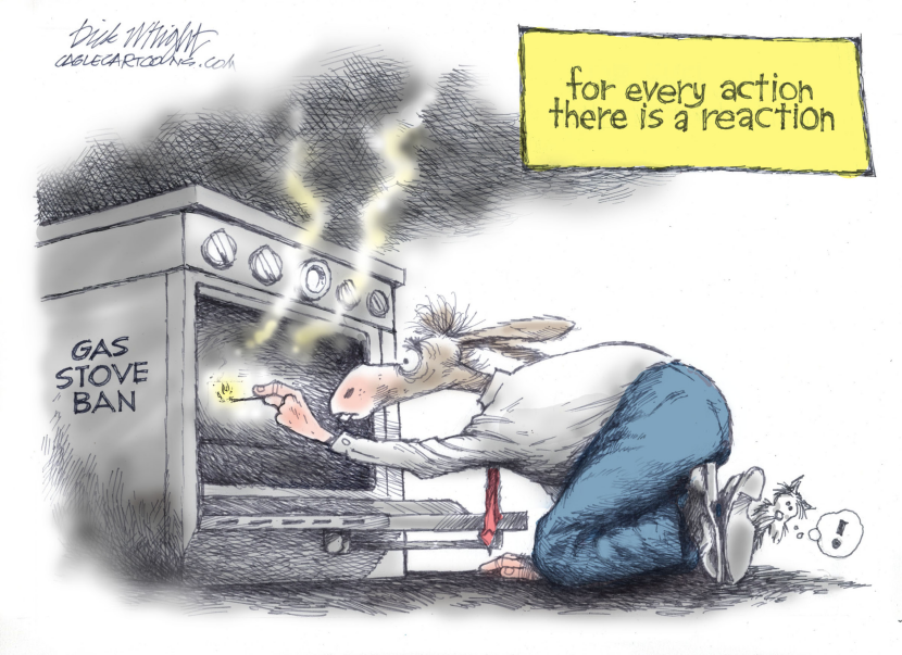 Gas Stove Ban