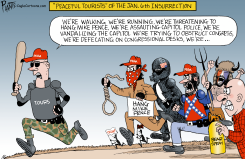 PEACEFUL INSURRECTION by Bruce Plante