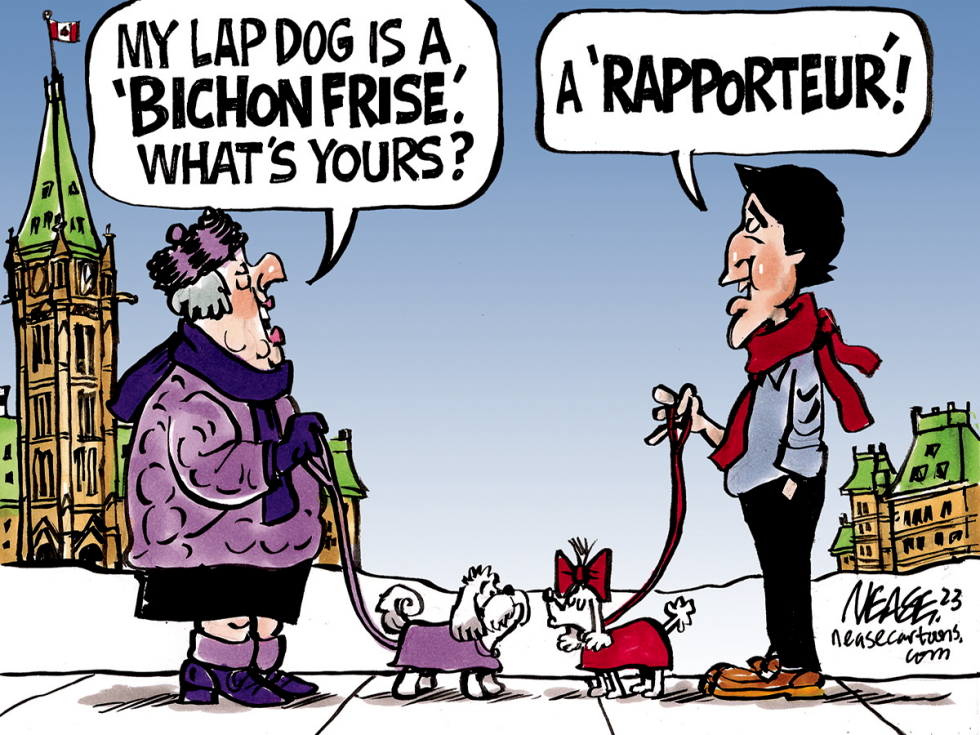 Lap Dogs