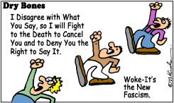 THE NEW FASCISM by Yaakov Kirschen